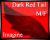  A Dark Red Tail M/F
