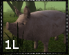 !1L Creek Animated Pig