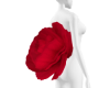 🥀Back Rose
