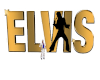 Elvis TV