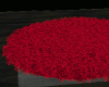 Swirl  Shag Carpet Red