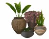 Plant Grouping # 2
