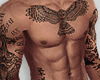 Dd!-Muscle + Tattoo V2
