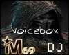 Hardstyle DJ Voicebox