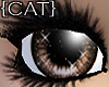 {CAT}Fragile-Brown Eyes