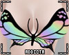 *A* Butterfly 2