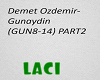 Demet Ozdemir-Gunaydin 2