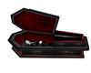 Vampire coffin black
