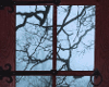 Dark Forest Window II