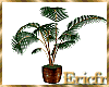 [Efr] Plant Interior