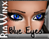 Winx Blue Eyes (F)