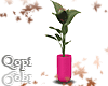Pink Vase Modern Plant