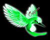 *C* Green Hummingbird