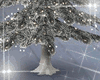 Light Snow Tree