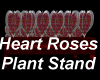 Heart Roses Planter