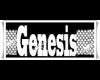 Genesis Belt