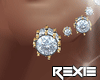 |R| Diamond Earrings