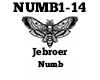 Jebroer Numb