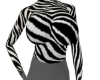 zebra sleeves