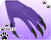 [Pets] Aurora | claws
