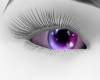 Rainbow Eyes