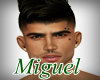 Miguel Head 1