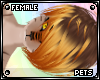 [PETS] Tigger | hair v6