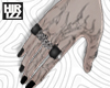 RingsXSet R