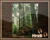 M:: Forest Cabin Photo