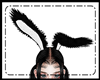 (OM)Bunny Ears Kawaii
