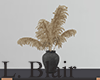 Decor | Pampas - V2