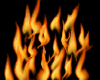 Flame Top Animated