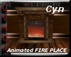 Animated fire place