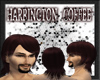 [AGC] Harrington Coffee
