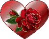 red rose heart