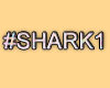 MA #Shark01