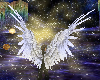 [A] Silver 2 Wings