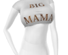 BIG  MAMA v2