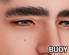 𝗕. Asteri Eyebrow