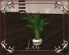 Brenna Plant