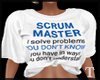 Scrum Master