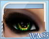 WA33 Green Hazel Eyes