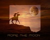 ROPE THE MOON