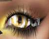 2tone GOD eye F