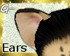 G- Ocelot Ears