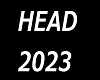 2023 SKIN HEAD kelvin