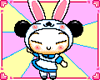 Bunny Pucca
