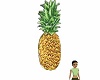 Secluded Pineapple Decor