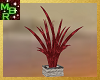 Rustic potted Palm plant