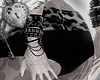 𝓐| Kitty Insane